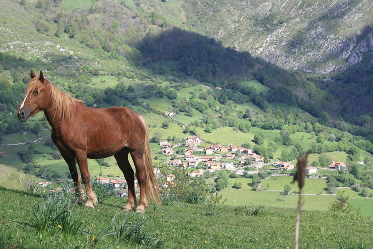 Hotel Rural Llerau Ponga Екстериор снимка